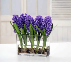 BLUE HYACINTH IN PLANTER (DP765-BLPU)