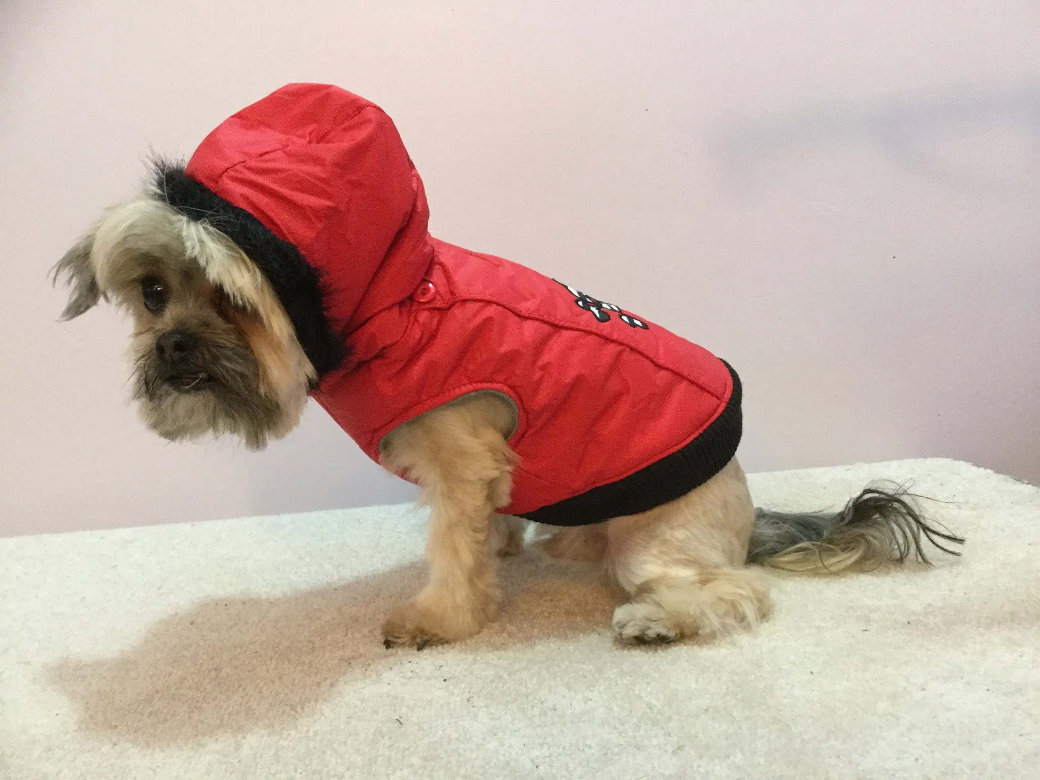 Fetchwear Red Skull & Crossbone Jacket SALE $5