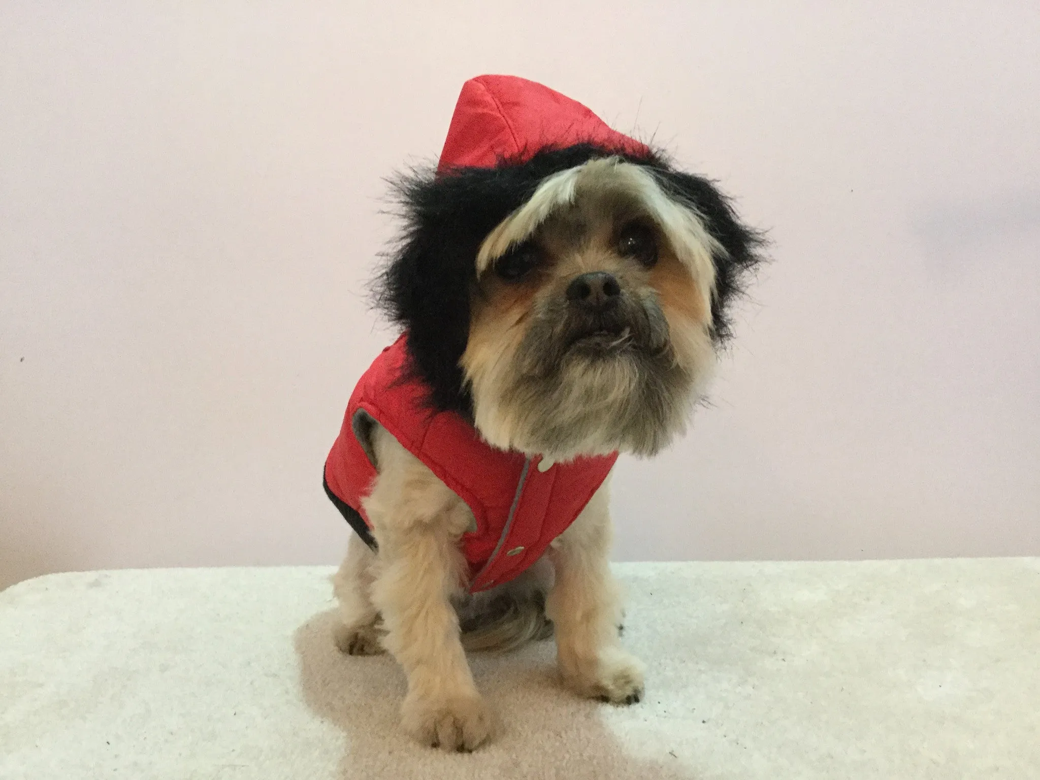 Fetchwear Red Skull & Crossbone Jacket SALE $5