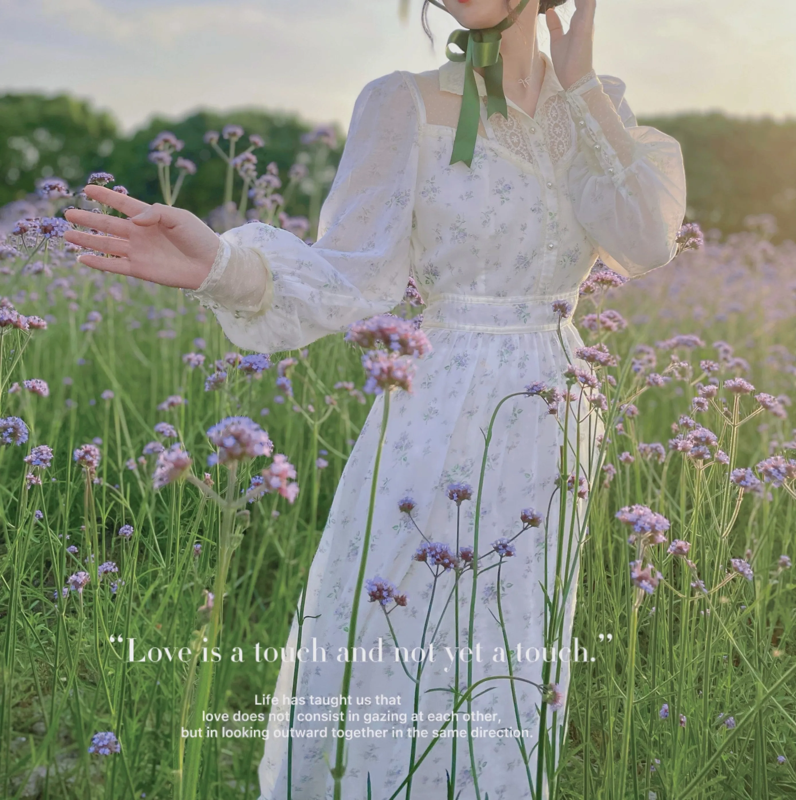 Gunne sax Replica 70s Lace Panel Floral Prairie Dress
