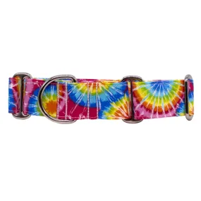 Martingale Collar - Rainbow Rapture Tie-Dye