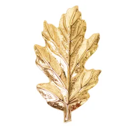 Navy Collar Device: Nurse Corps - gold
