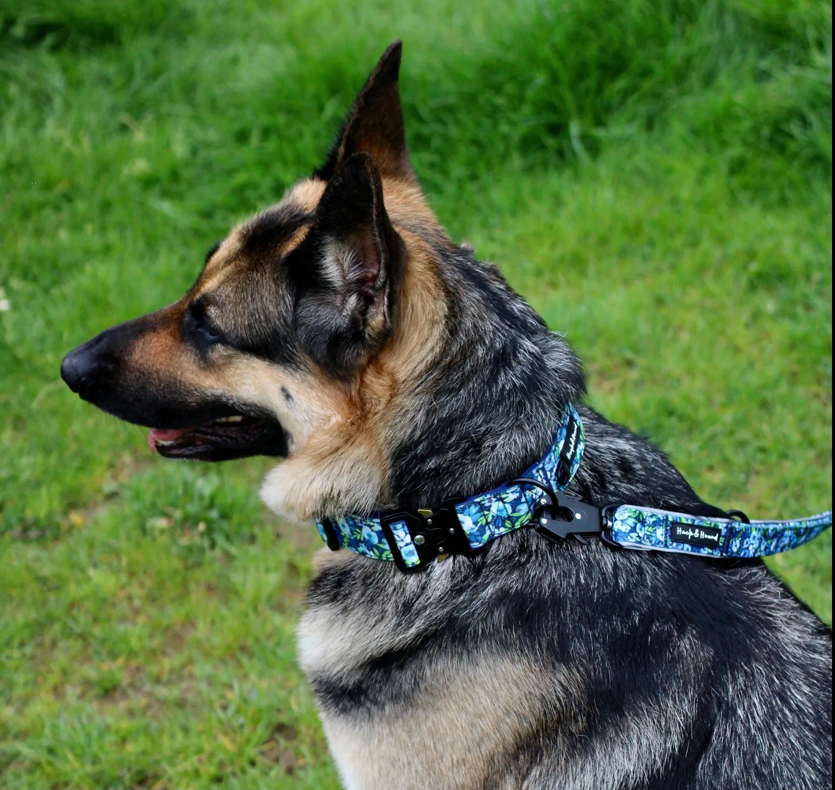 Pathfinder Tactical Wide Collar - Blue Peony