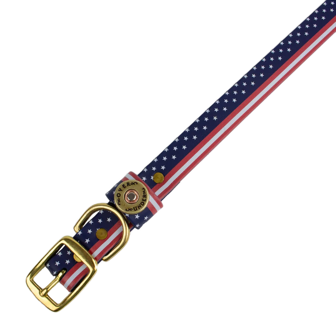 Patriot Water Dog Collar