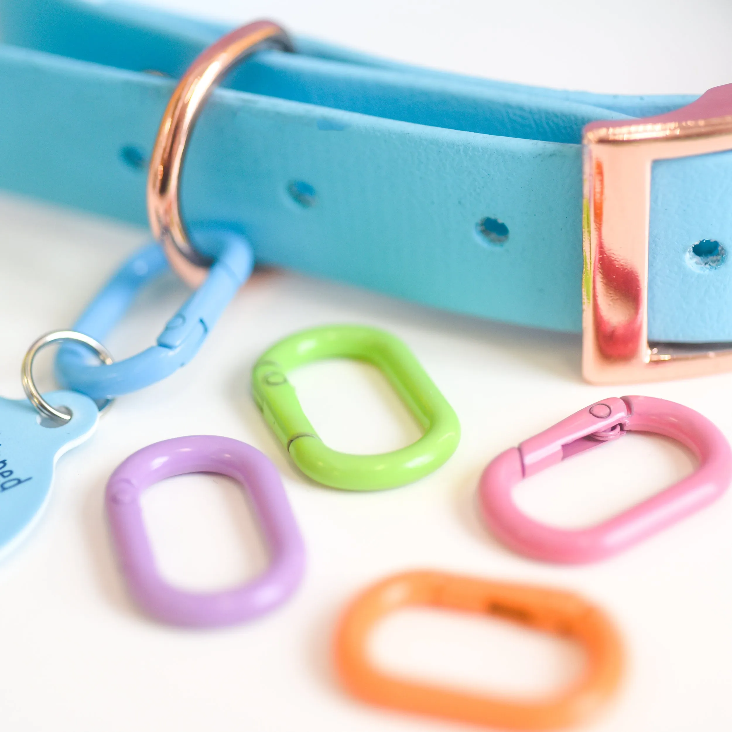 Pet Tag Oval Loop Carabiner Collar Clip
