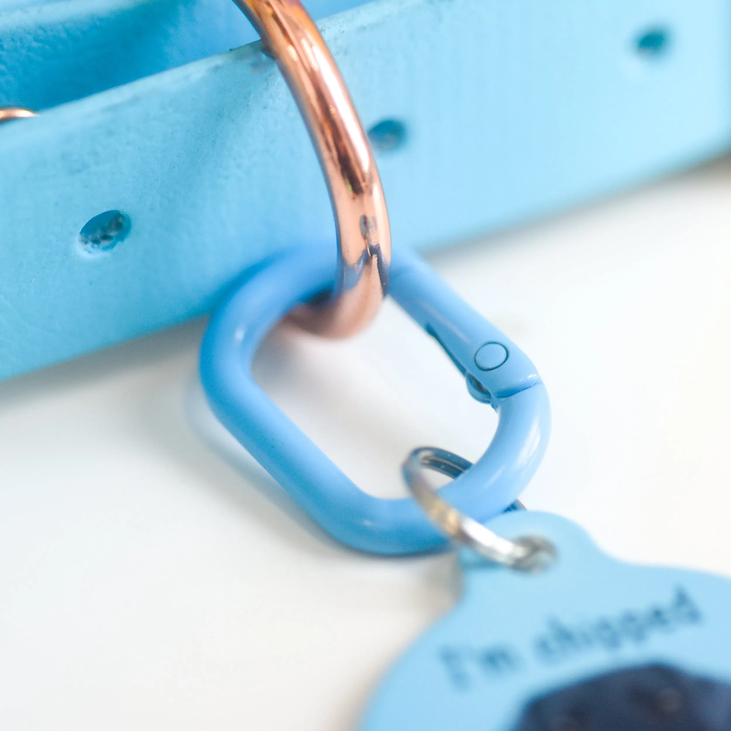 Pet Tag Oval Loop Carabiner Collar Clip