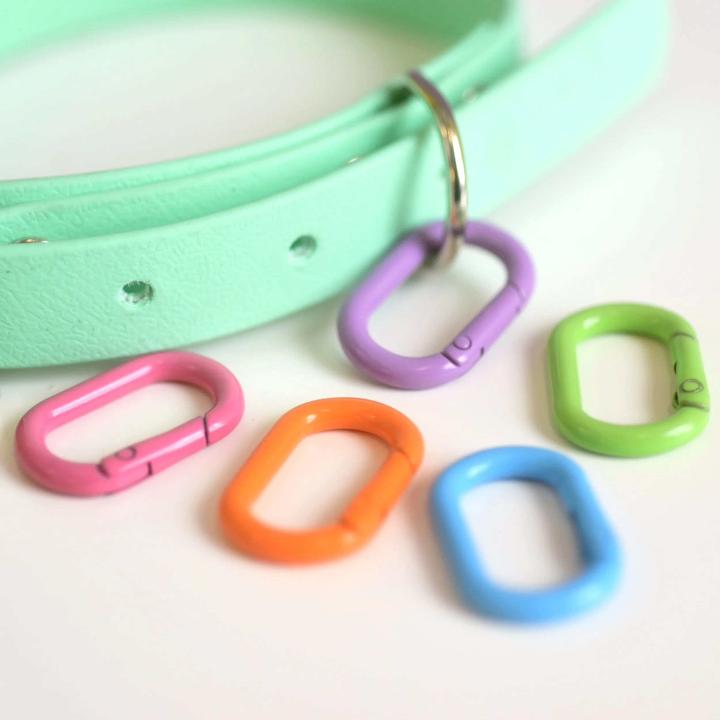 Pet Tag Oval Loop Carabiner Collar Clip