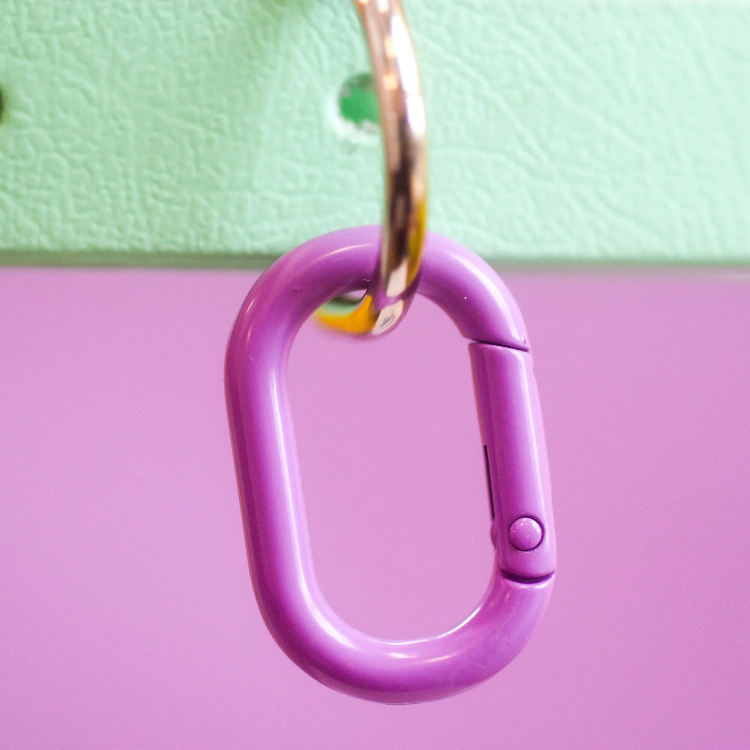 Pet Tag Oval Loop Carabiner Collar Clip