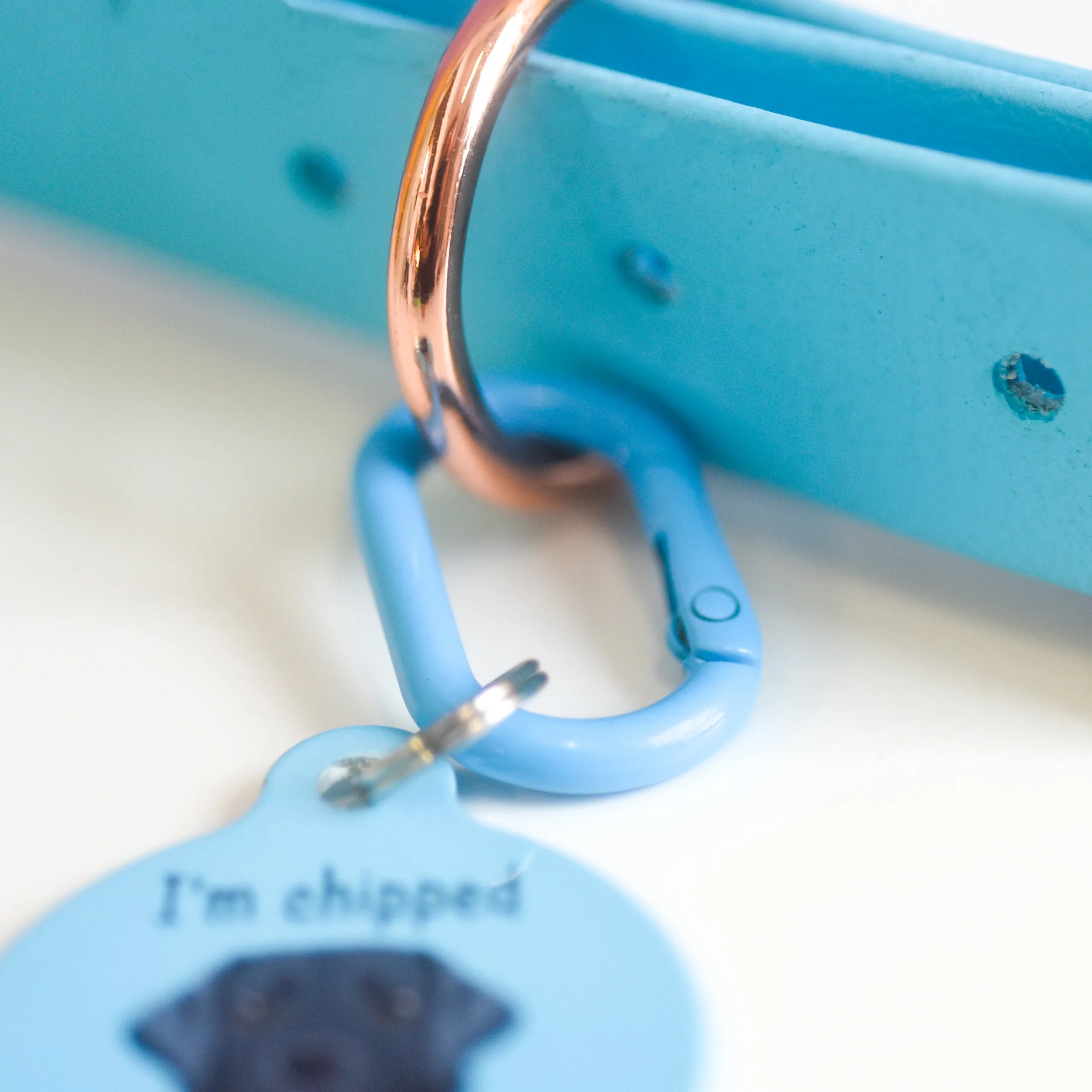 Pet Tag Oval Loop Carabiner Collar Clip