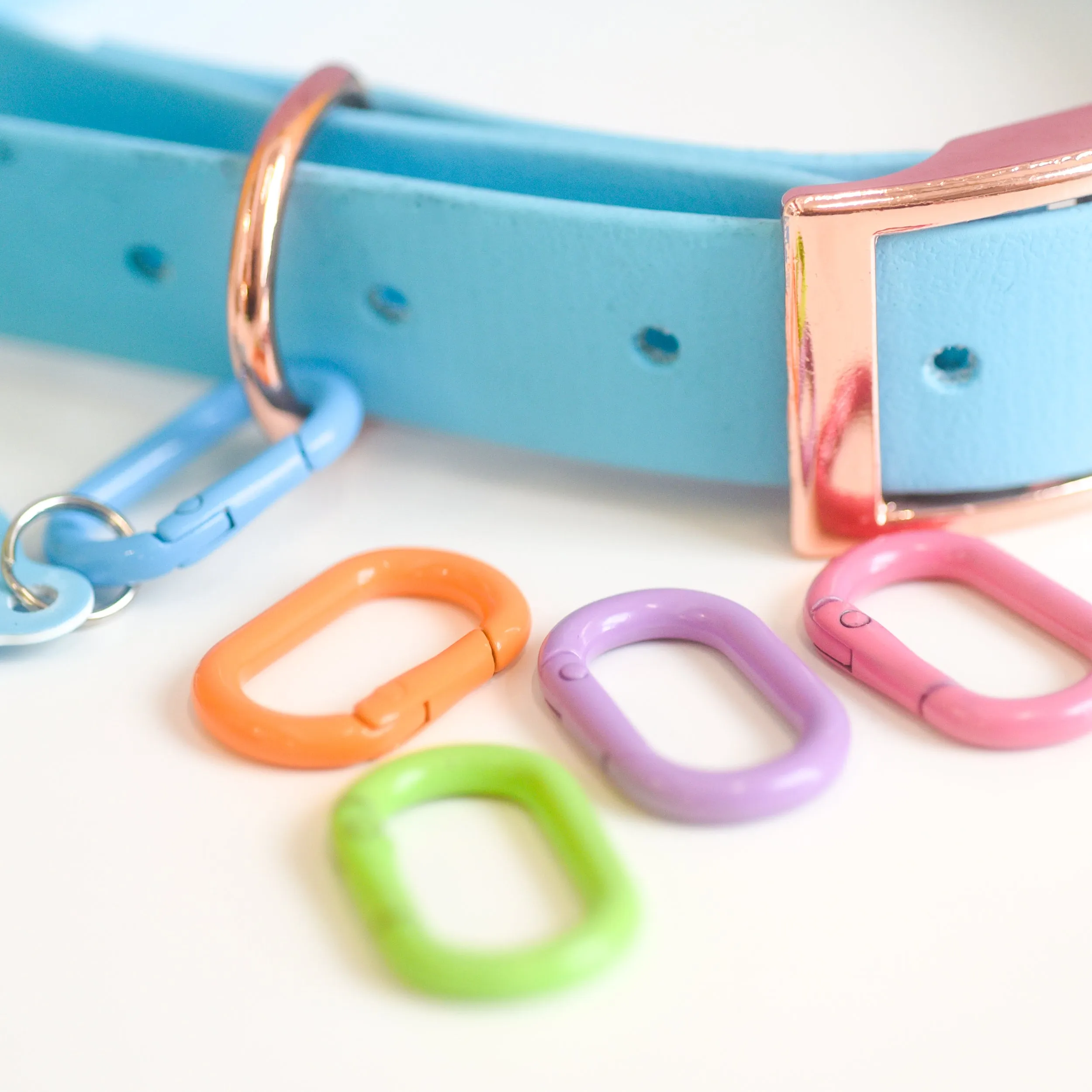 Pet Tag Oval Loop Carabiner Collar Clip