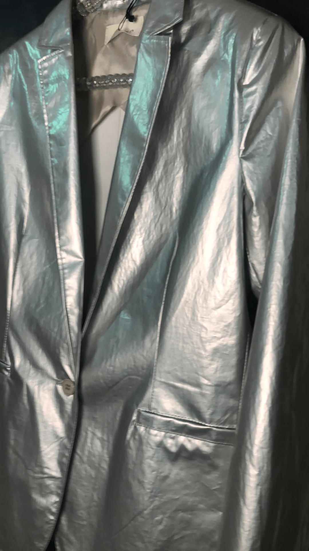 Silver Blazer