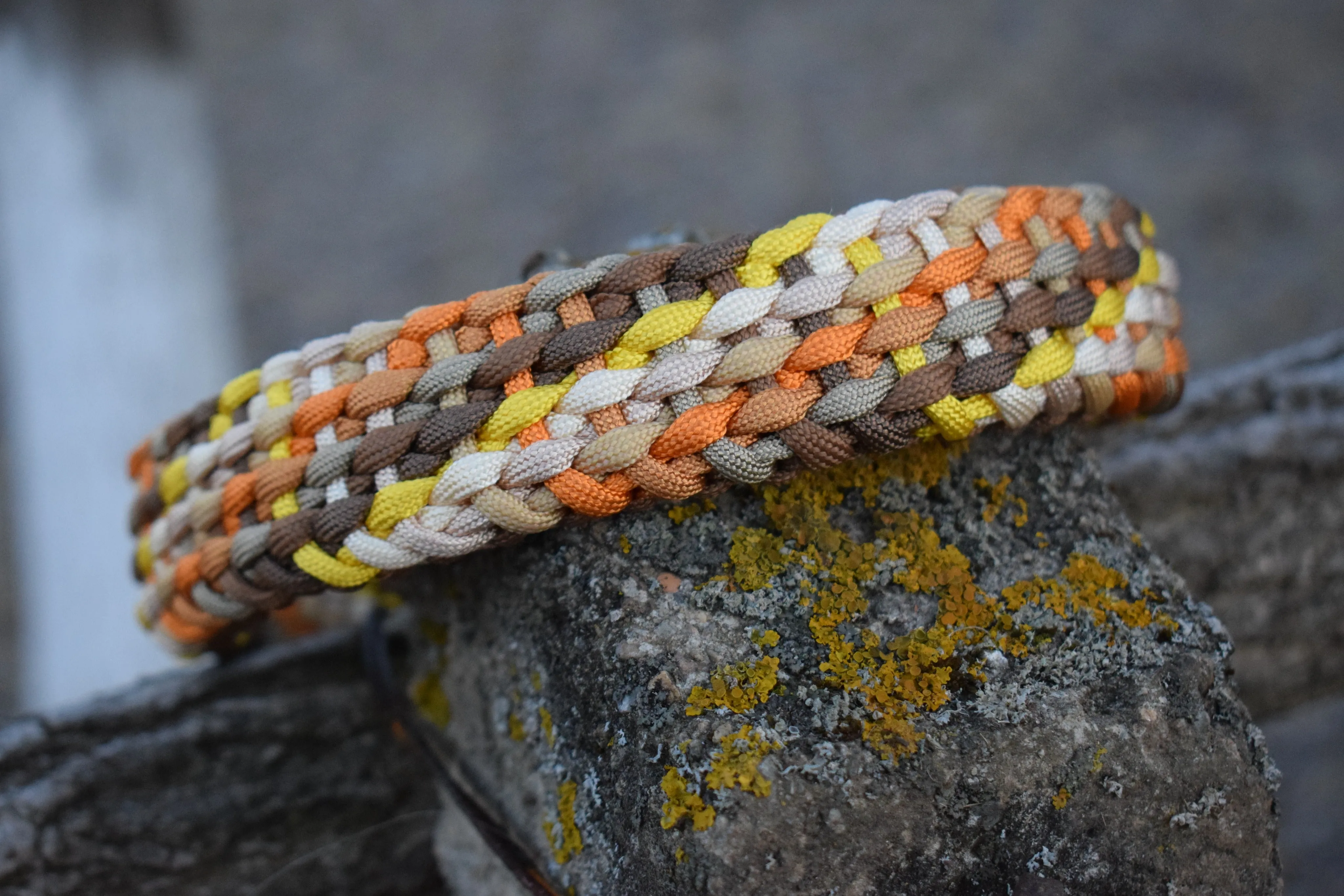 Summer Braid Dog Collar