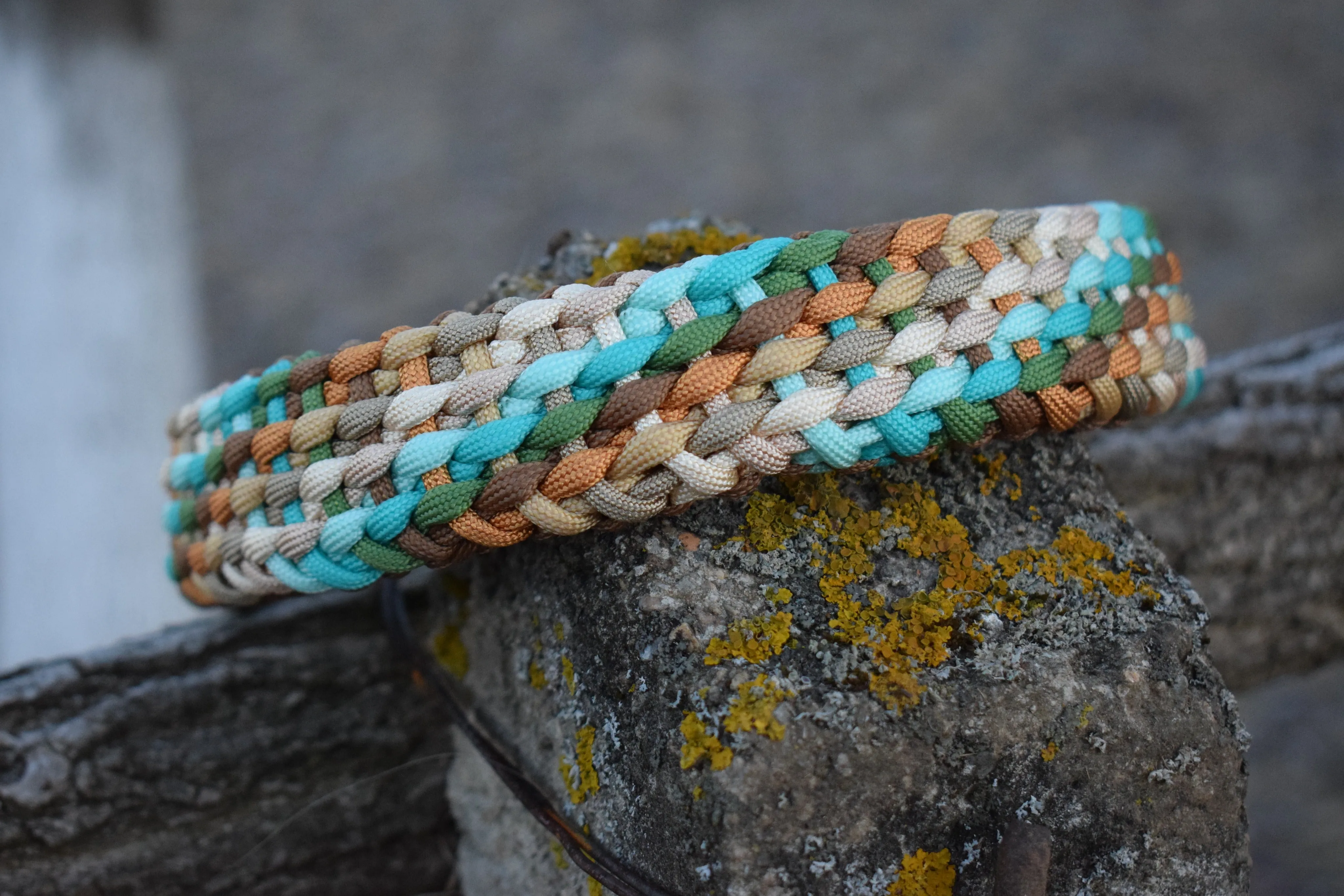 Summer Braid Dog Collar