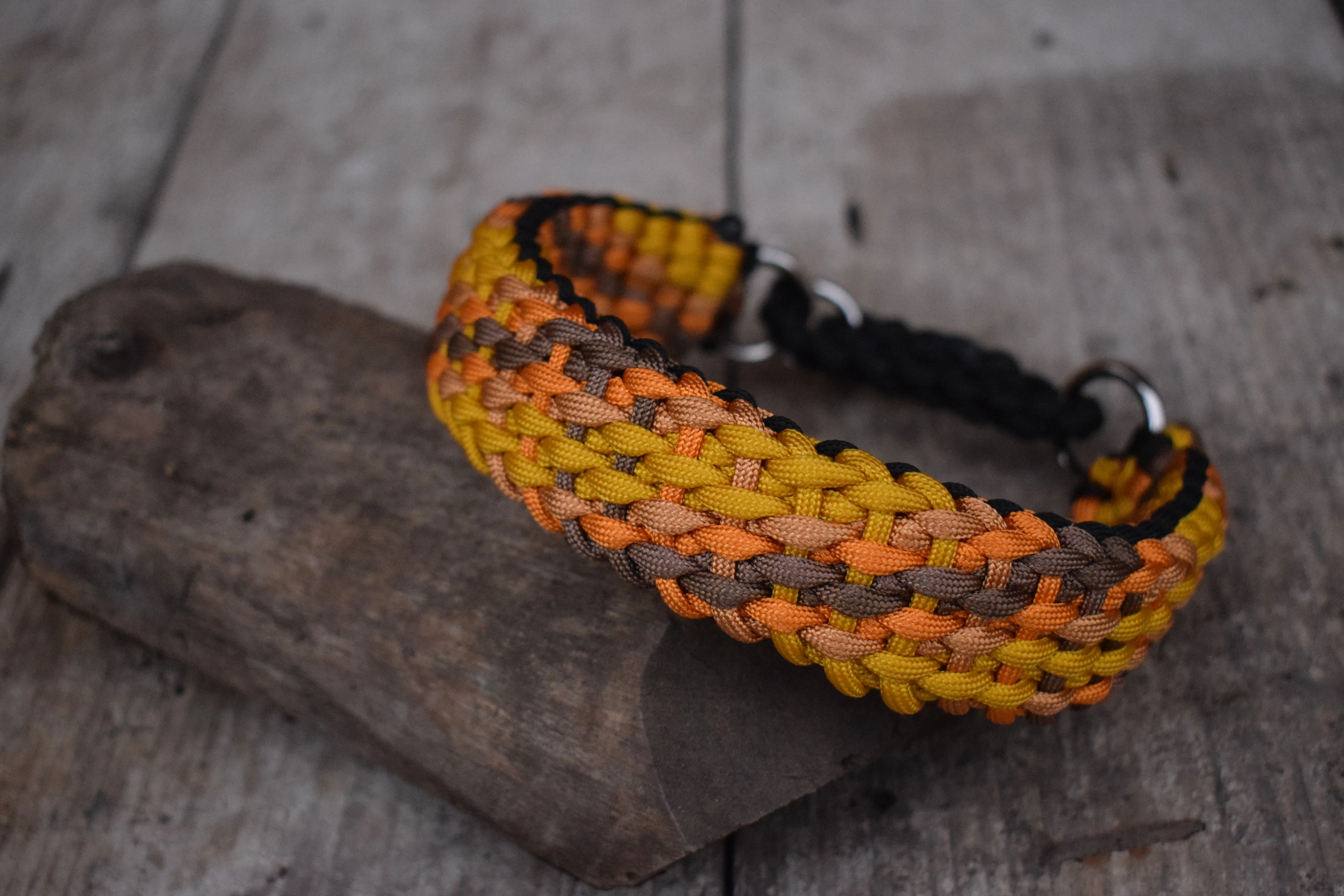 Summer Braid Dog Collar