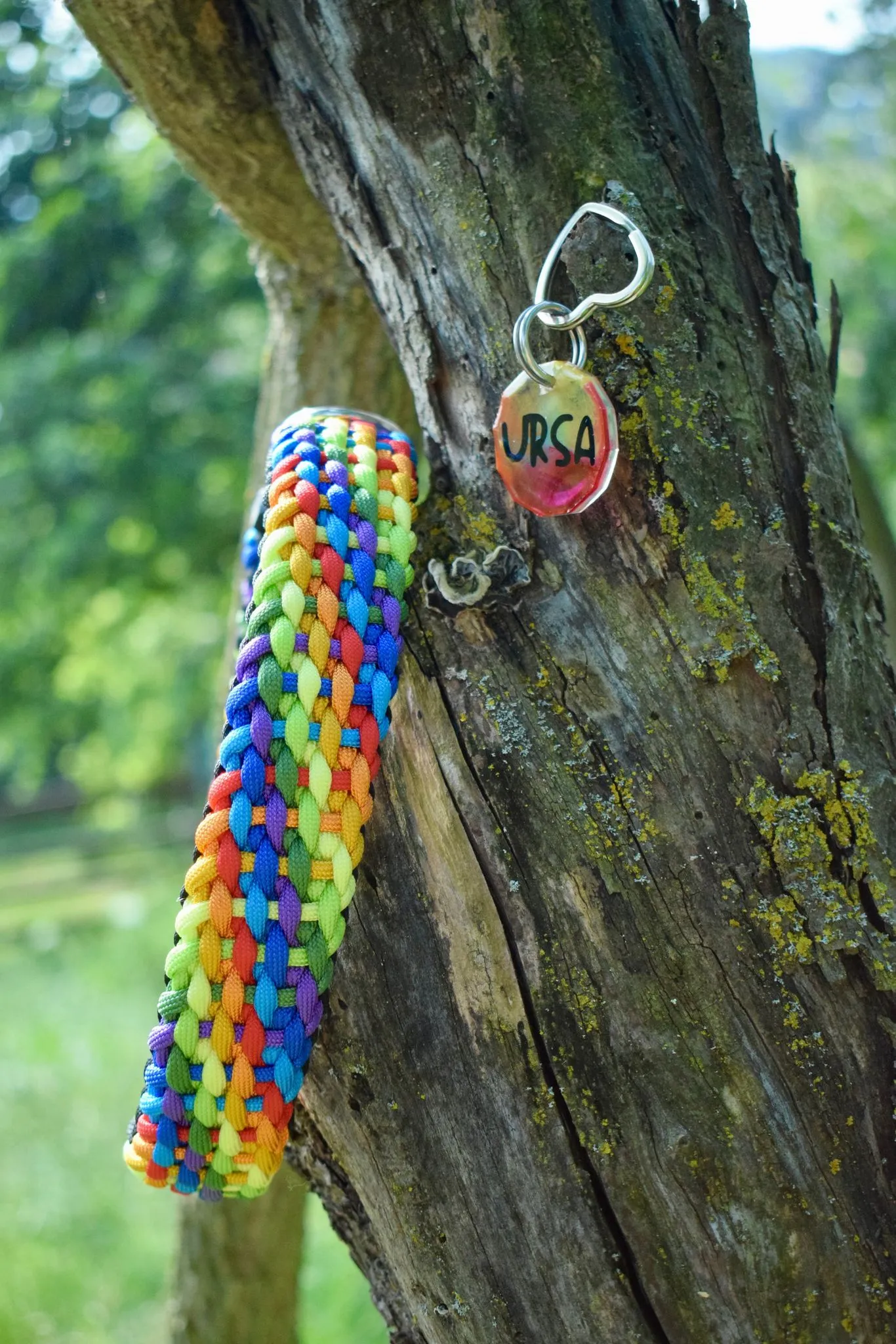 Summer Braid Dog Collar