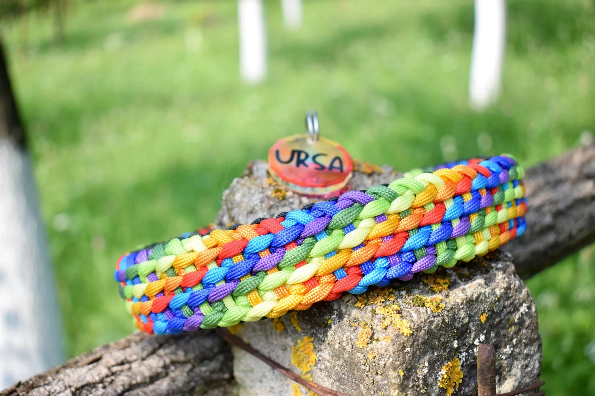 Summer Braid Dog Collar