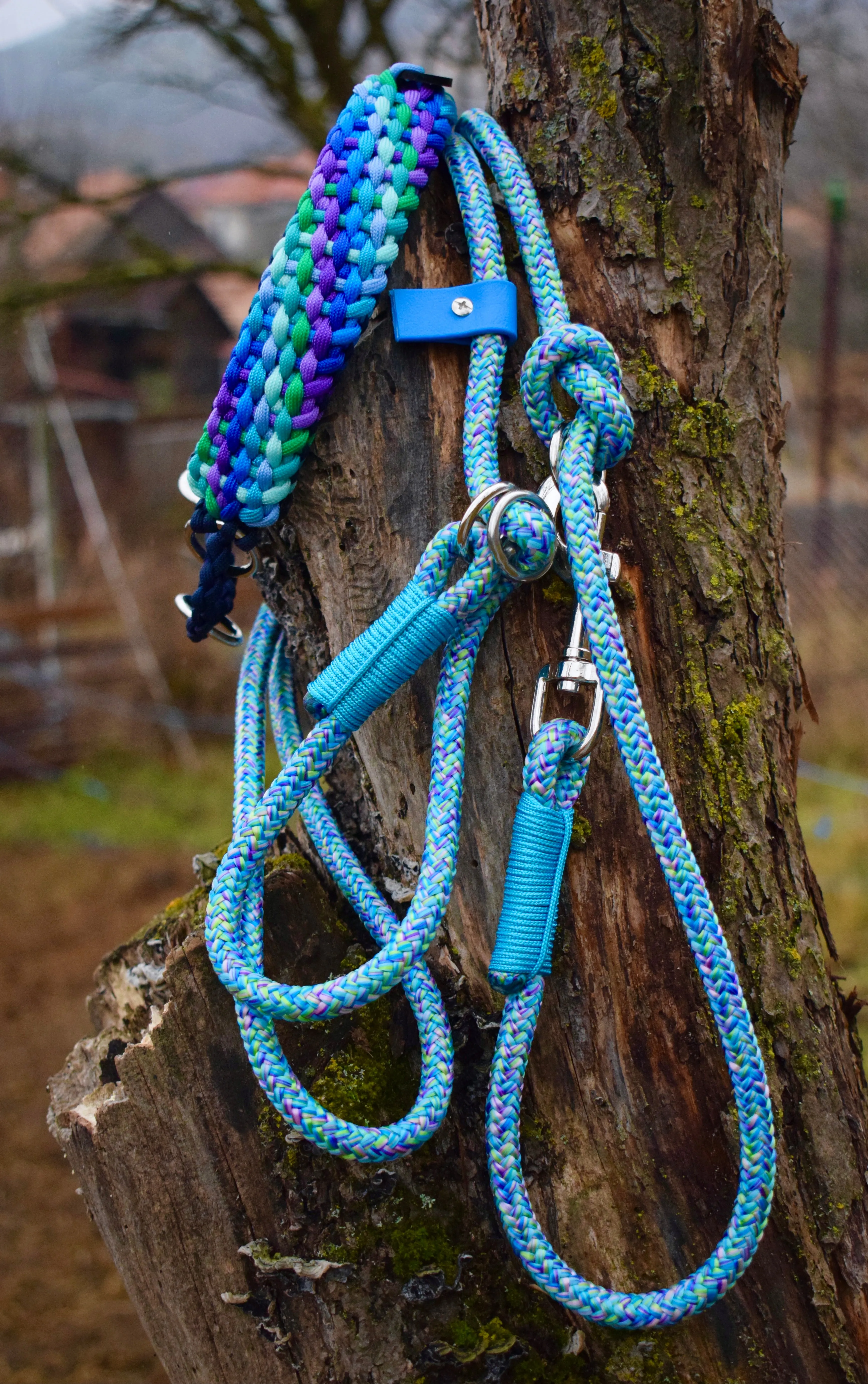 Summer Braid Dog Collar