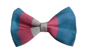 Trans Pet Collar Bowtie