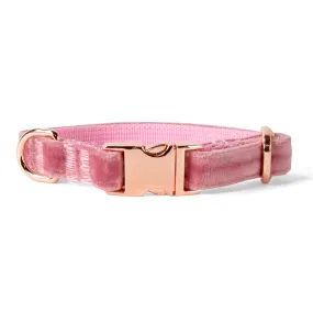Velvet Dog Collar with Rose Gold Metal Buckle, Rose Pink